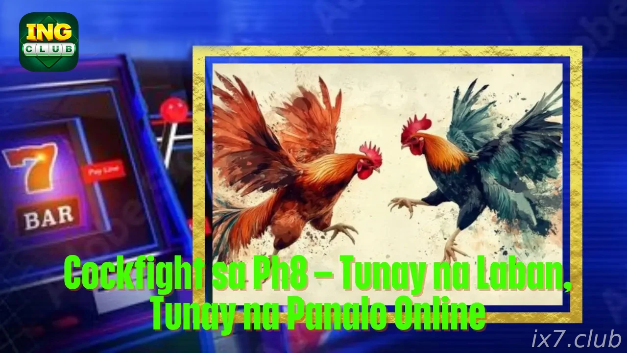 Cockfight on IX7 India - Live Arena Betting Guide