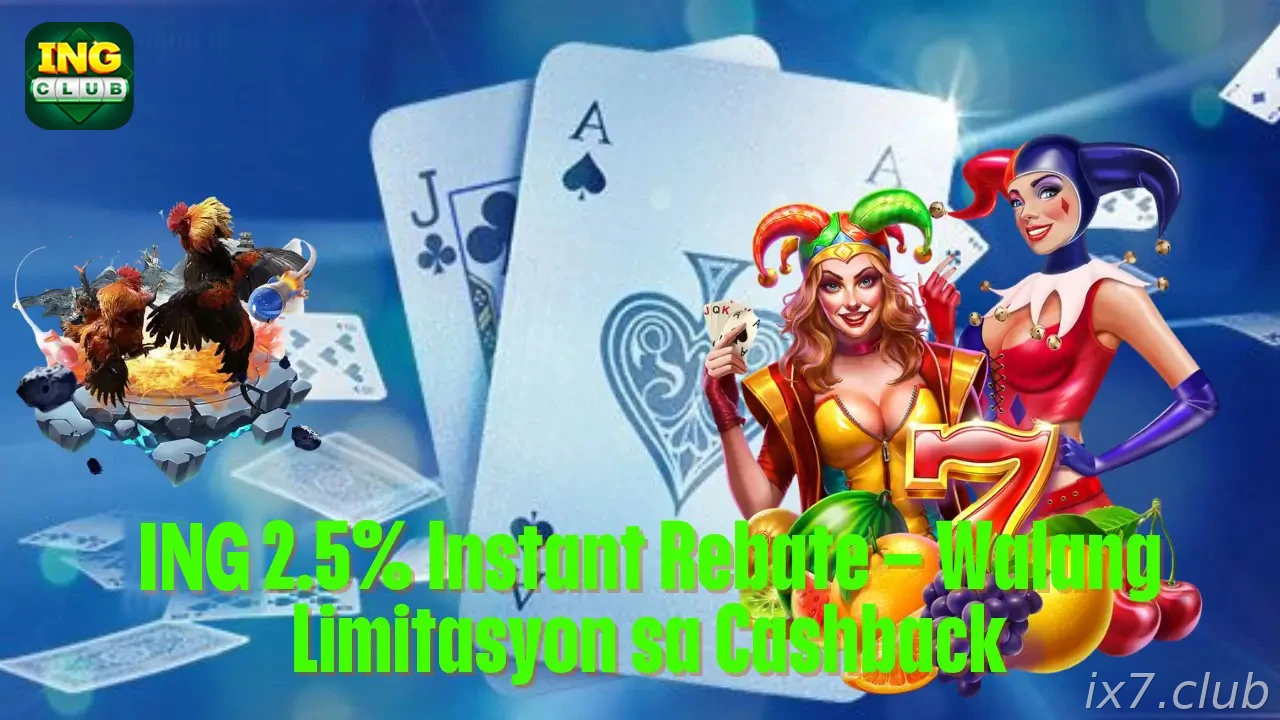 IX7 2.5% Instant Rebate India - Cashback Guide